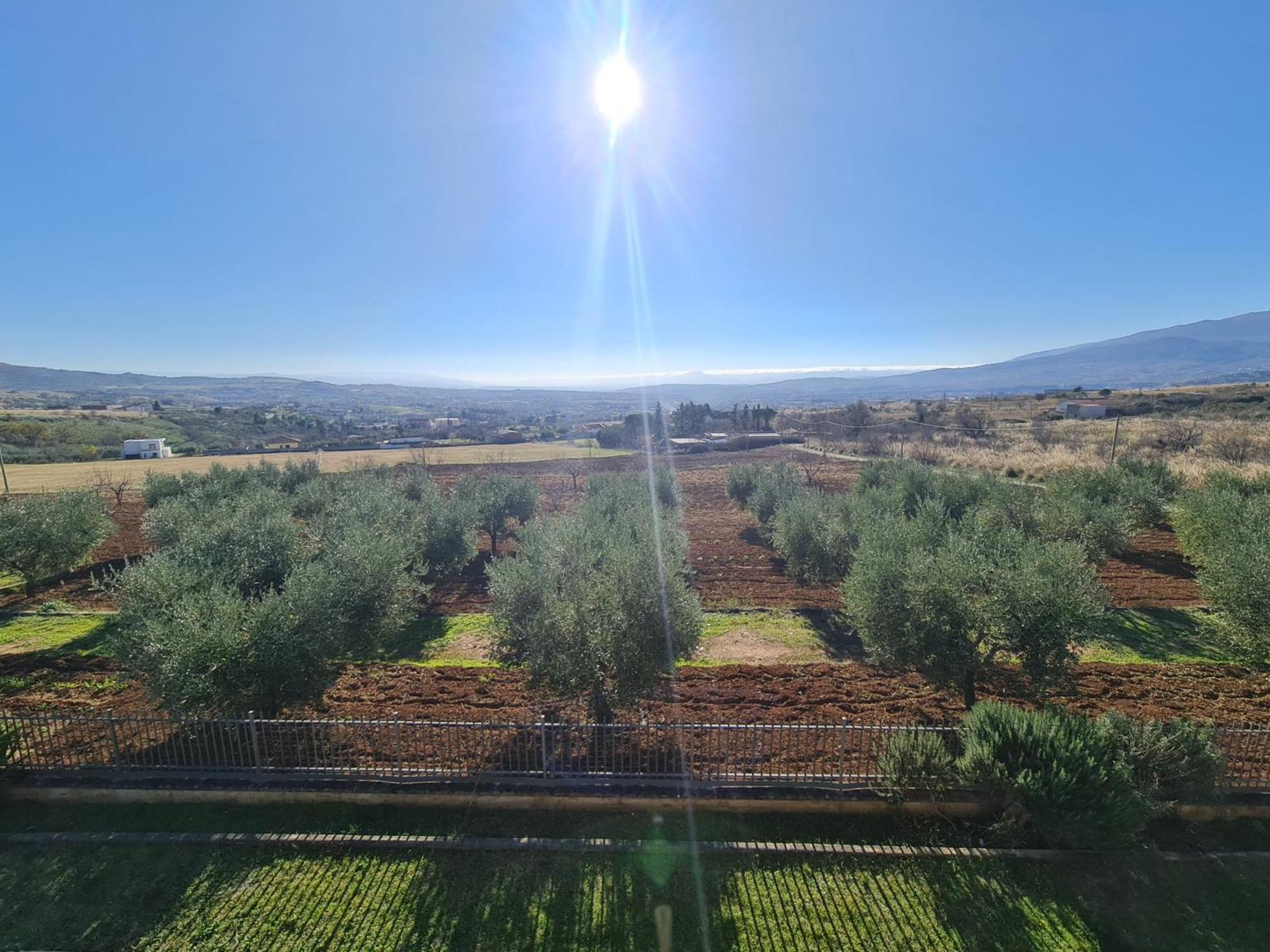 B&B La Petrosa Frascineto Exteriér fotografie